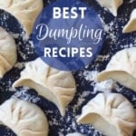 uncooked dumplings on a tray with overlay text that says best dumpling recipes.