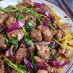lamb stir-fried with cumin, dried chili, onion and cilantro.