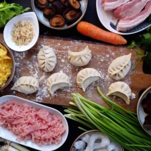 ingredients for making dumpling fillings