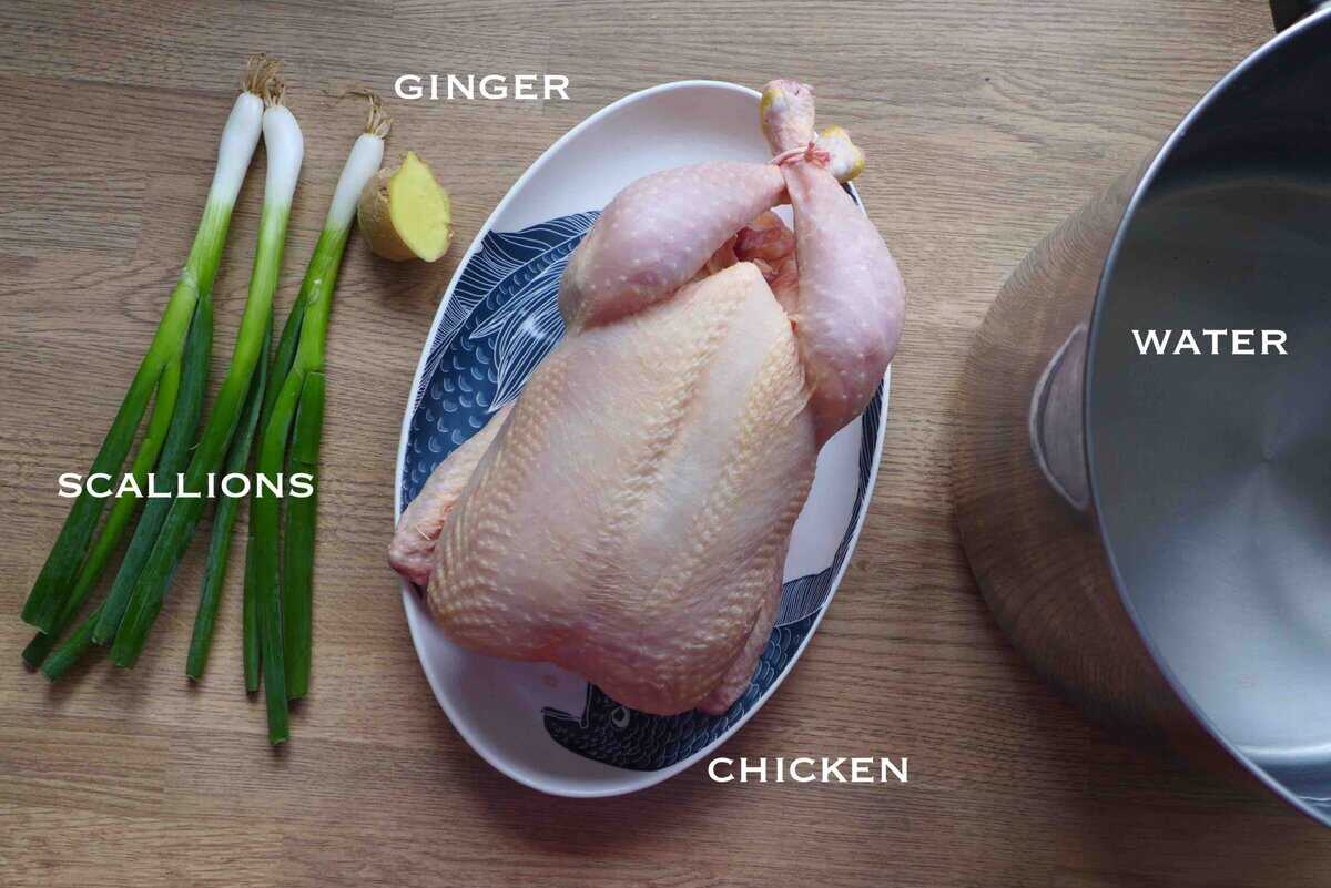 chicken, scallions, ginger, and water.