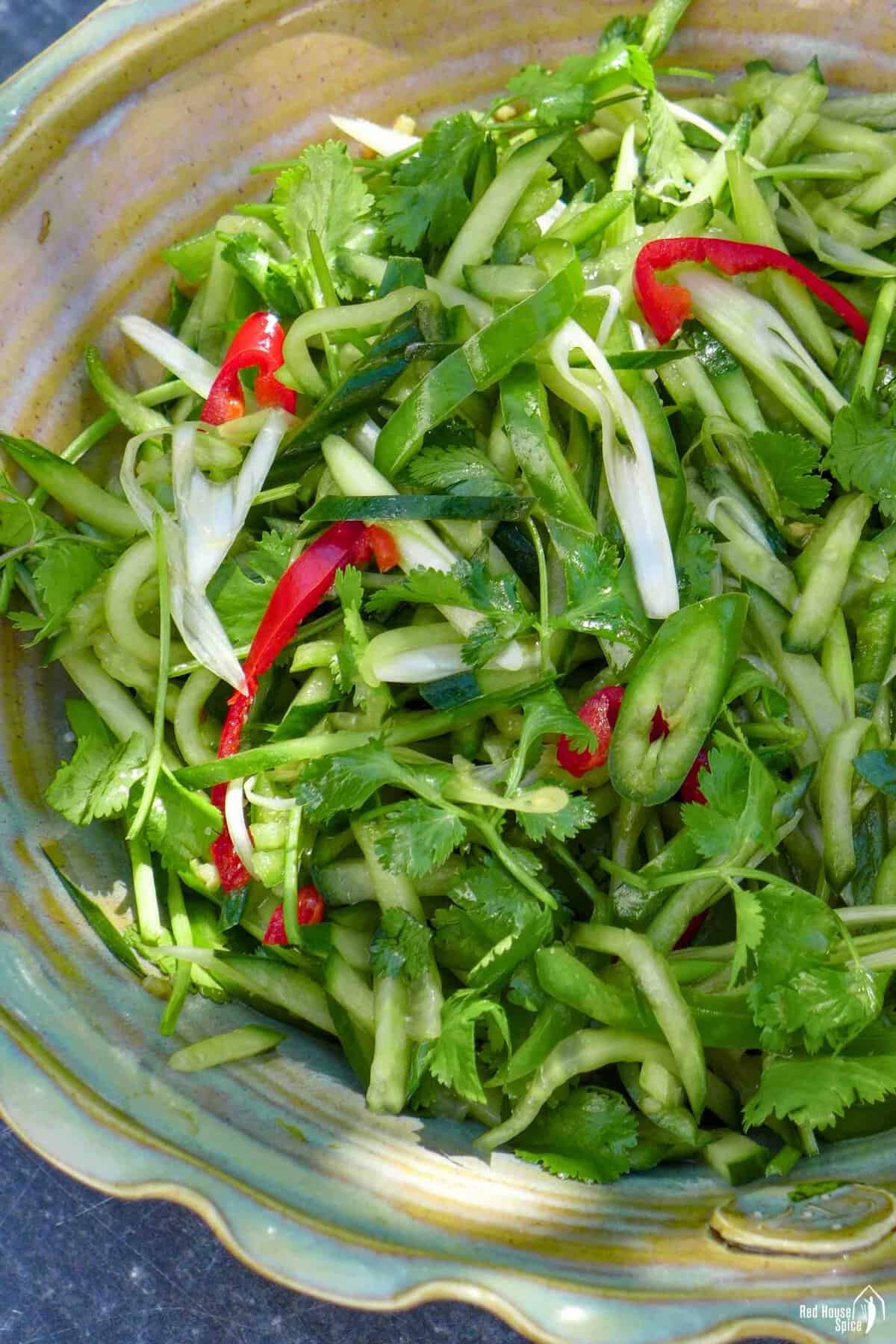 Northeast tiger salad made with cucumber, chilies, scallions and cilantro.