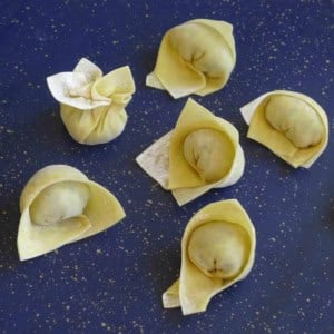 six wontons folded in different ways.